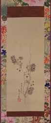 Cherry Blossoms